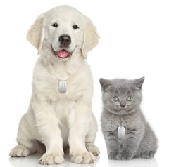 Dog Tags